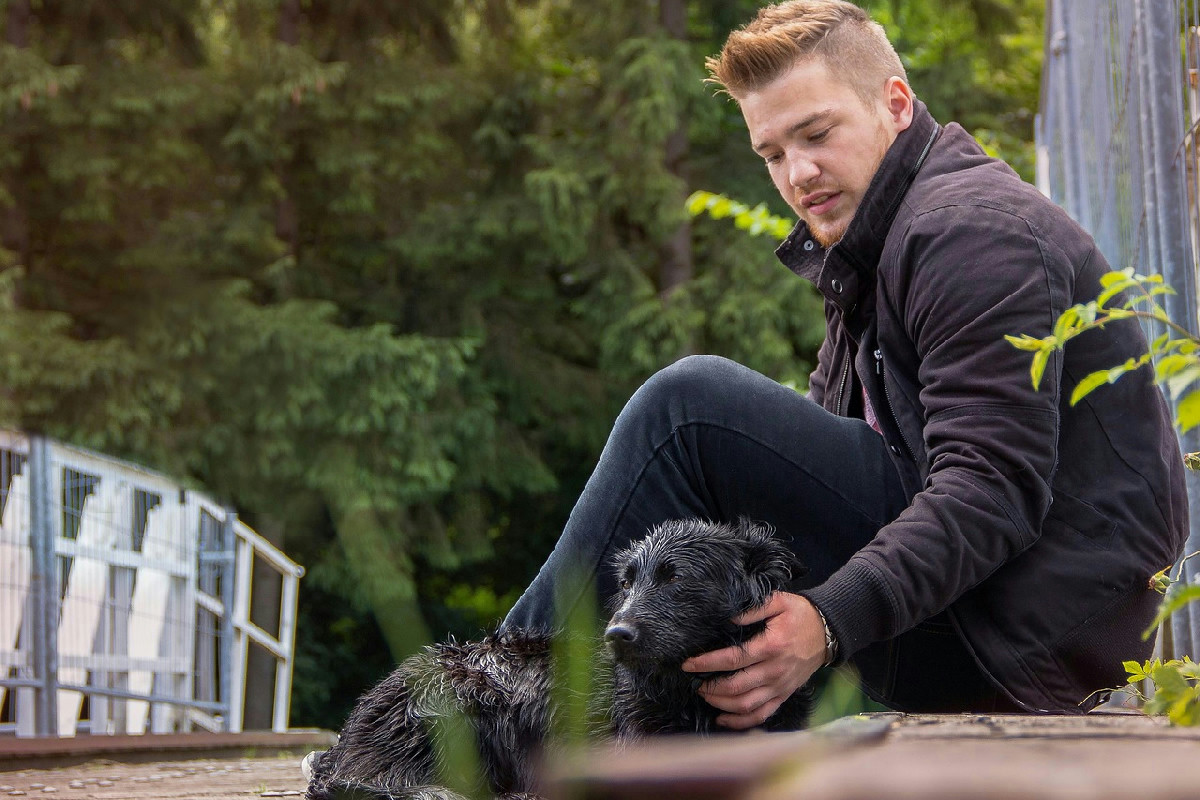 Cani in famiglia: strategie efficaci per costruire un legame profondo e duraturo nel tempo